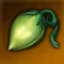 千年樹の芽.png