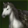 乗り物：エウディアホース(白).png