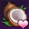 フォートンクルの実.png