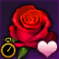 リーベハイムのバラ.png