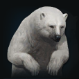 サリー.png