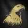 帆模様：名誉.png