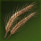 ライ麦の茎.png