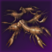 淡水ザリガニ.png