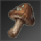 武骨なキノコ.png