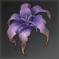 野生花.png
