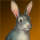 変身：ウサギ.png