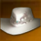 秘密の跳躍(ガンスリンガー・頭).png