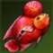 赤身魚.png