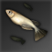魚.png