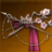 誕生する跳躍(ソウルマスター・頭).png