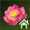 かわいい花びら.png
