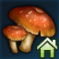香ばしいキノコ.png