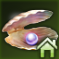 優雅な真珠.png